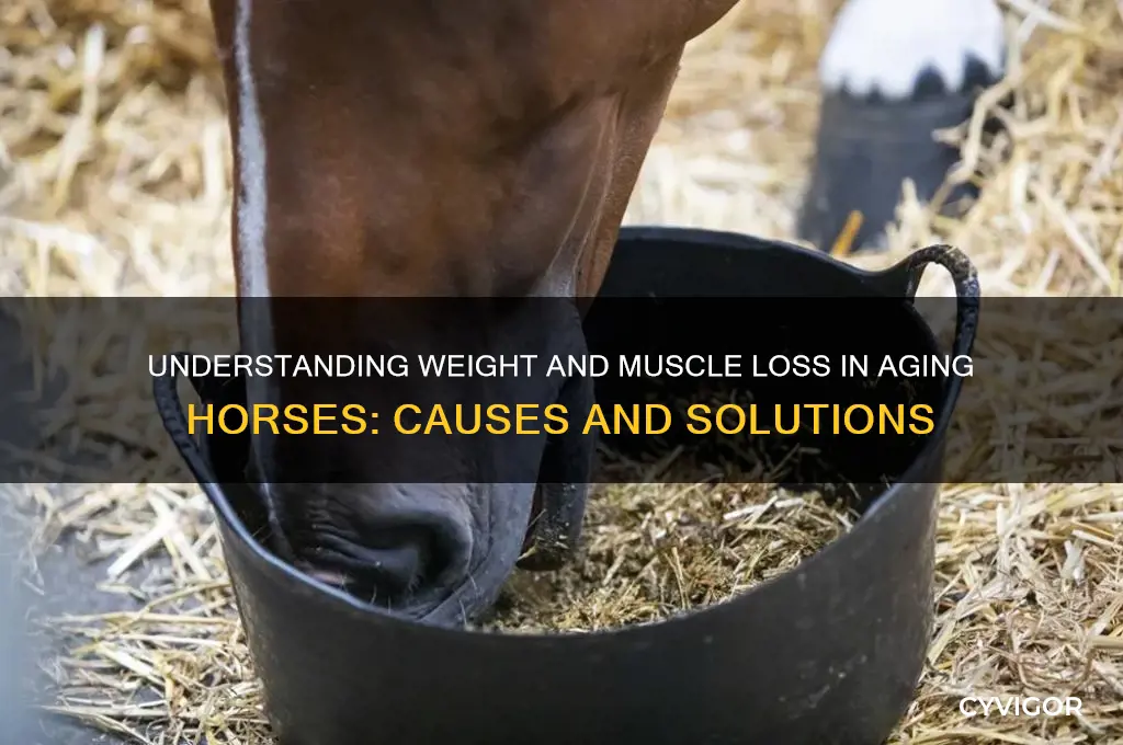 what causes older horse losing weight and muscle mass