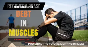Understanding Oxygen Debt: Causes in Muscle During Intense Exercise