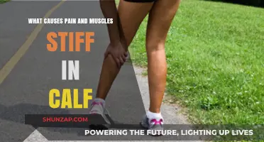 Calf Pain and Stiffness: Causes, Prevention, and Relief Strategies
