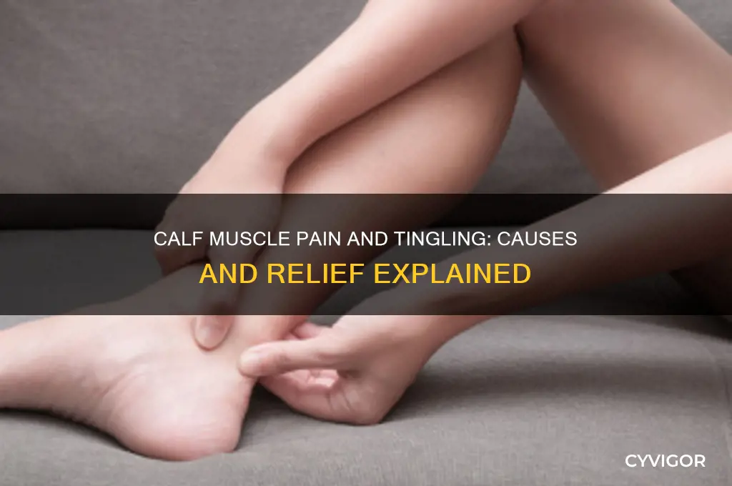 what causes pain and tingling in calf muscle