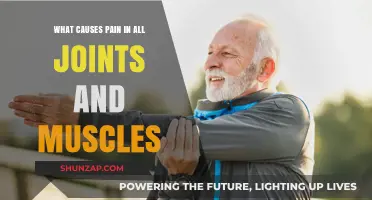 Understanding Widespread Joint and Muscle Pain: Causes and Triggers