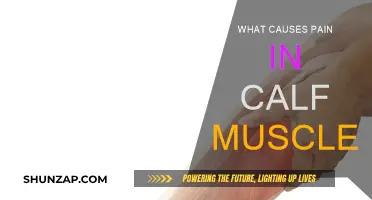 Understanding Calf Muscle Pain: Causes and Triggers