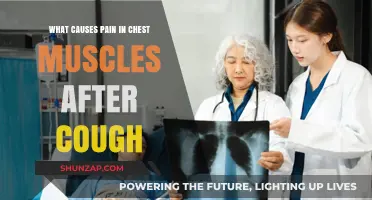 Chest Muscle Pain After Coughing: Causes and Relief Explained