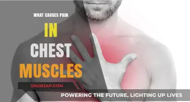 Understanding Chest Muscle Pain: Causes, Symptoms, and Treatment Options