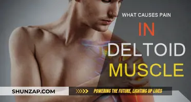 Deltoid Muscle Pain: Understanding the Root Causes