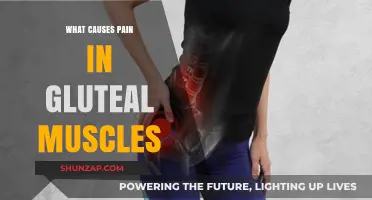 Understanding Gluteal Muscle Pain: Causes, Triggers, and Relief Strategies