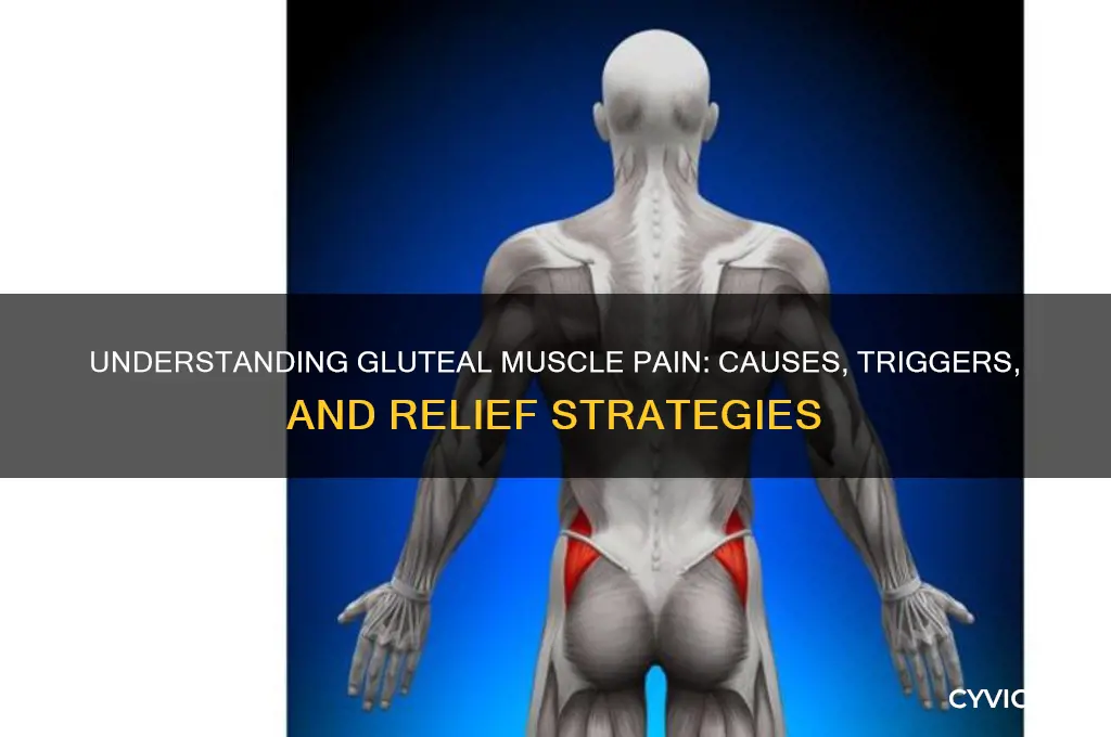 what causes pain in gluteal muscles