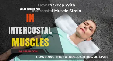 Understanding Intercostal Muscle Pain: Causes, Symptoms, and Relief Strategies