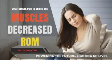 Joint and Muscle Pain: Causes and Reduced Range of Motion Explained