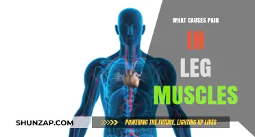 Understanding Leg Muscle Pain: Common Causes and Effective Relief Strategies