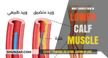 Understanding Lower Calf Muscle Pain: Common Causes and Triggers