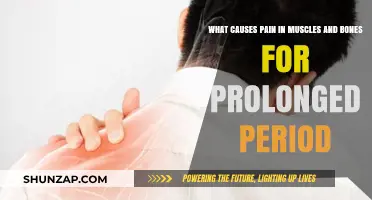 Chronic Muscle and Bone Pain: Causes and Prolonged Discomfort Explained