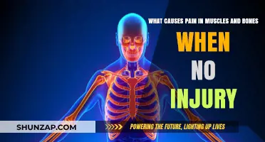 Unexplained Muscle and Bone Pain: Causes and Solutions