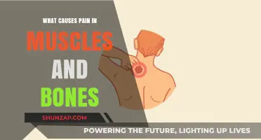 Understanding Muscle and Bone Pain: Causes and Contributing Factors