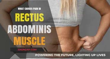 Rectus Abdominis Pain: Causes, Symptoms, and Effective Relief Strategies
