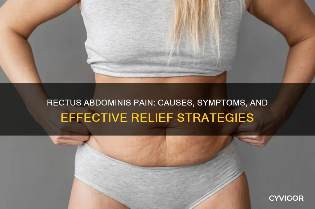 what causes pain in rectus abdominis muscle