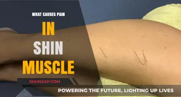 Shin Muscle Pain: Causes, Prevention, and Effective Relief Strategies
