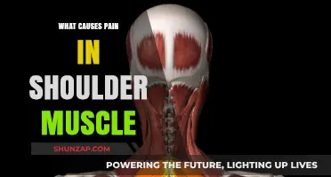 Understanding Shoulder Muscle Pain: Common Causes and Effective Relief Strategies