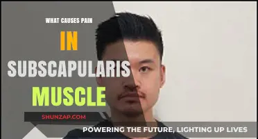Understanding Subscapularis Muscle Pain: Causes and Contributing Factors