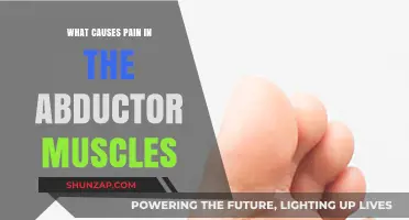 Understanding Abductor Muscle Pain: Causes and Contributing Factors