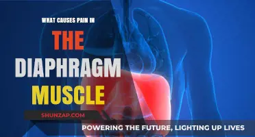 Understanding Diaphragm Muscle Pain: Causes, Symptoms, and Relief Strategies