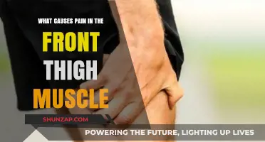 Front Thigh Muscle Pain: Common Causes and Effective Relief Strategies