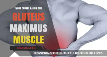 Understanding Gluteus Maximus Pain: Causes and Contributing Factors Explained
