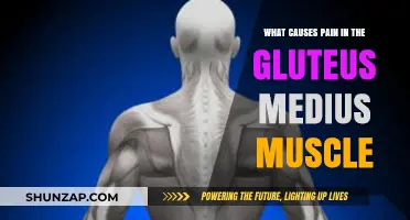 Understanding Gluteus Medius Pain: Causes, Triggers, and Relief Strategies