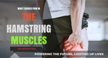 Understanding Hamstring Pain: Causes, Triggers, and Prevention Strategies