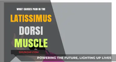 Understanding Latissimus Dorsi Pain: Causes and Contributing Factors Explained