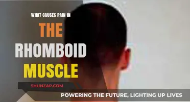 Understanding Rhomboid Muscle Pain: Causes and Relief Strategies