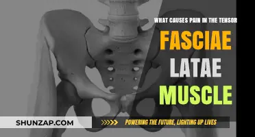 Understanding Tensor Fasciae Latae Pain: Causes and Triggers Explained