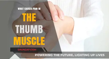 Thumb Muscle Pain Causes: Understanding the Root of Discomfort