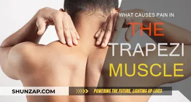 Understanding Trapezius Muscle Pain: Causes and Triggers