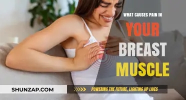 Understanding Breast Muscle Pain: Causes and Relief Strategies Explained