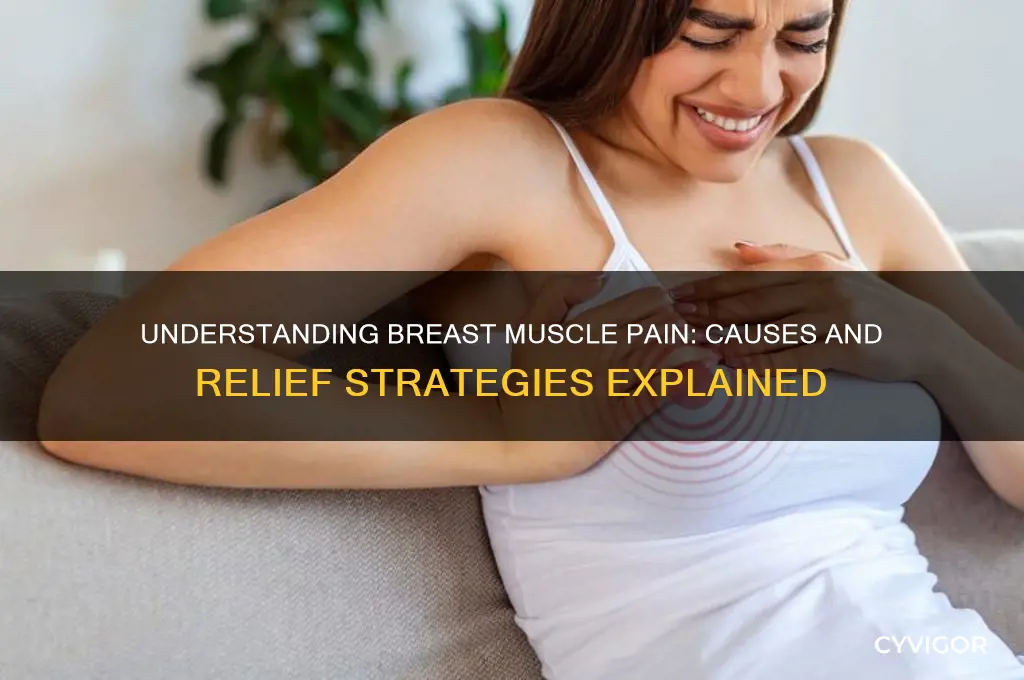 what causes pain in your breast muscle