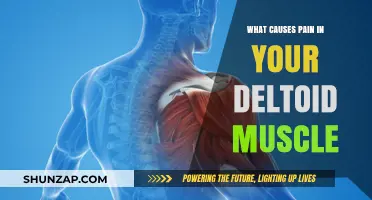 Understanding Deltoid Muscle Pain: Causes and Effective Relief Strategies