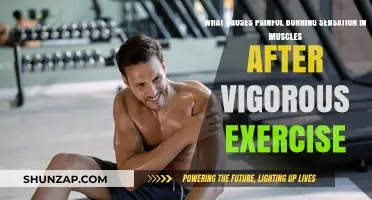 Why Muscles Burn After Intense Workouts: Understanding Delayed Onset Muscle Soreness
