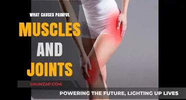 Understanding Muscle and Joint Pain: Common Causes and Remedies