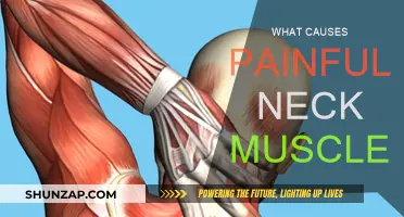 Neck Muscle Pain: Causes and Triggers