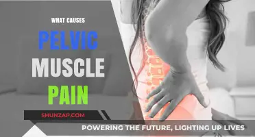 Understanding Pelvic Muscle Pain: Causes, Symptoms, and Relief Strategies