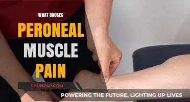 Understanding Peroneal Muscle Pain: Causes, Symptoms, and Relief Strategies