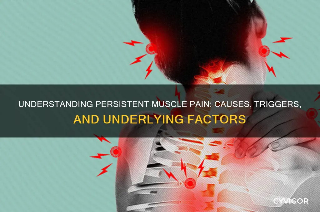 what causes persistent muscle pain