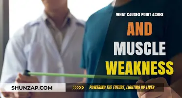 Understanding Point Aches and Muscle Weakness: Causes and Solutions