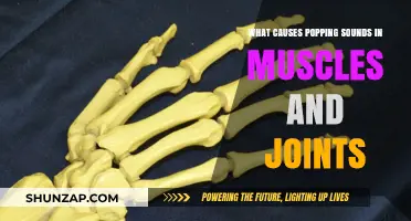 Understanding the Science Behind Muscle and Joint Popping Sounds
