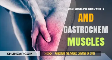 Understanding TA and Gastrocnemius Muscle Issues: Common Causes Explained
