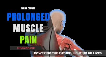 Understanding Prolonged Muscle Pain: Causes, Triggers, and Effective Relief Strategies