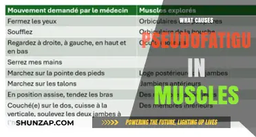 Understanding Pseudofatigue: Causes of Muscle Weakness Without True Fatigue