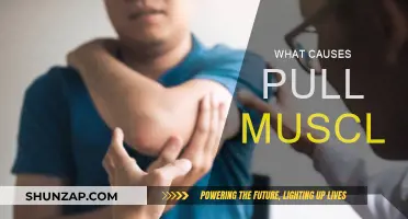 Understanding the Root Causes of Pulled Muscles
