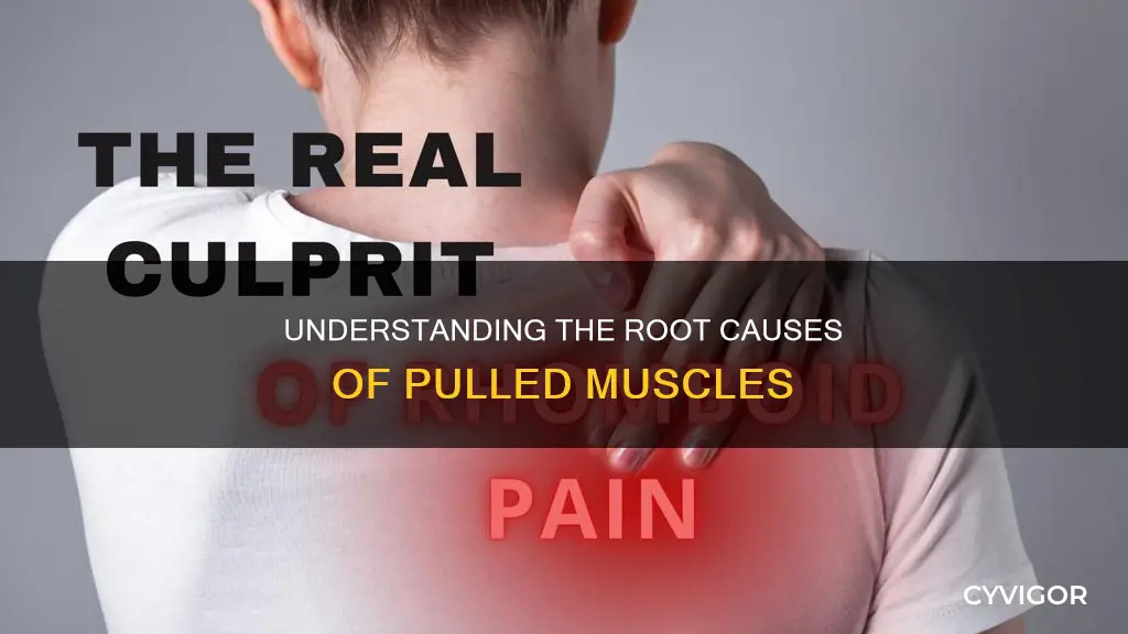 what causes pull muscle